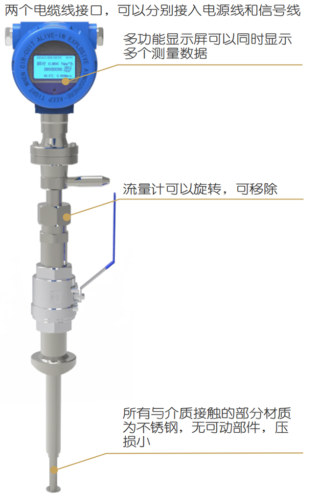 DN150熱式氣體質(zhì)量流量計結(jié)構(gòu)圖